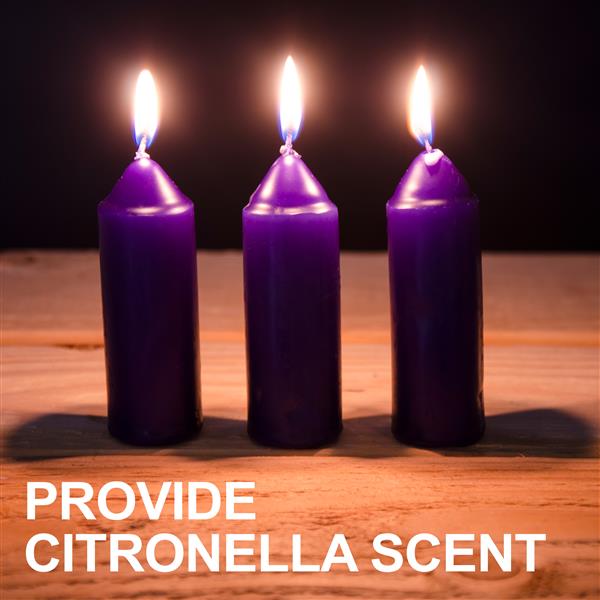 9-Hour Citronella Candles - 3-Pack