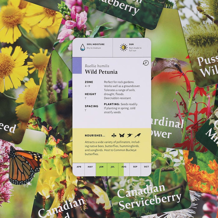 Pollinator Garden Planning Deck