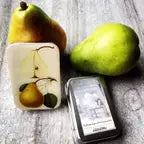 Storage Tin - Botanical Pear (Small)